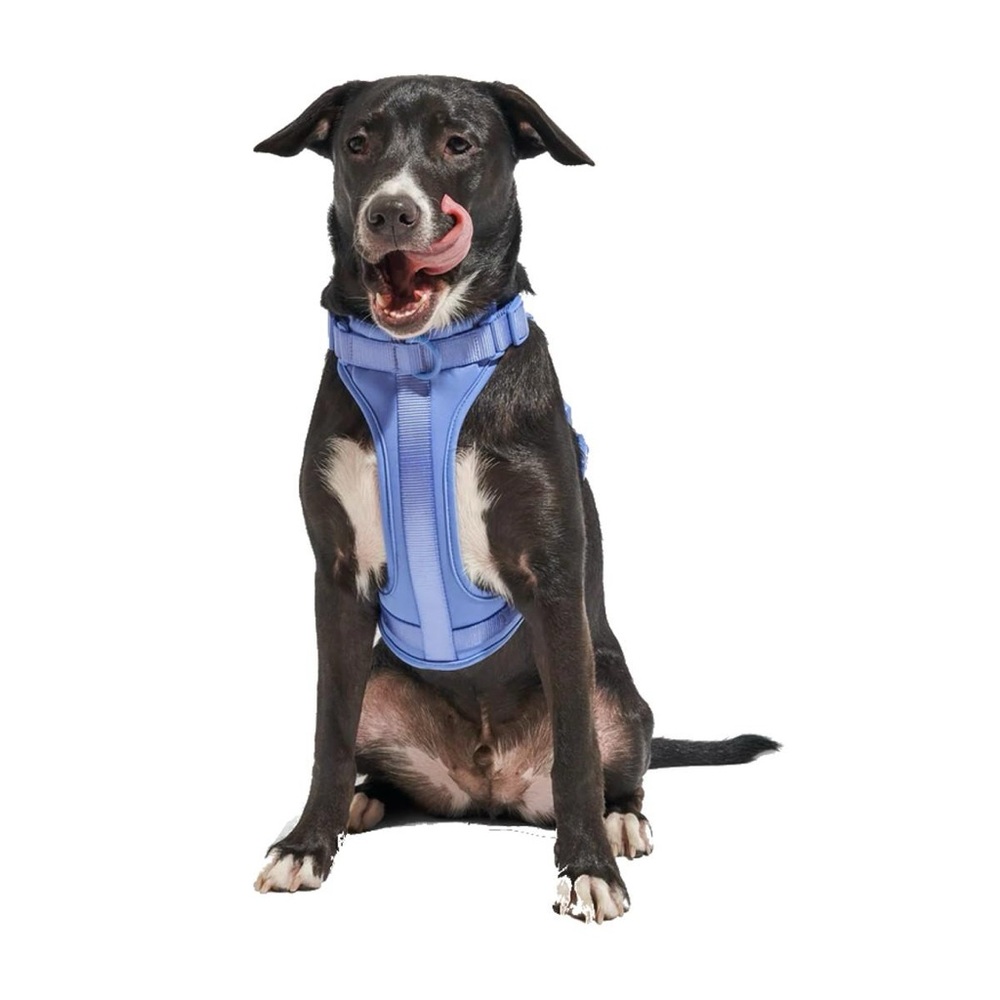 Wild One Harness in Moonstone — Size Medium